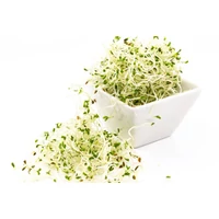 BIO Csírák és csíráztatnivaló magok