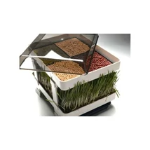 Csíráztató tálcarendszer (gabonf.-csíra)