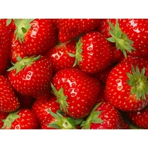 Eper BIO 500g