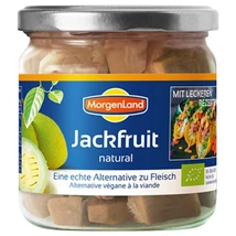 Jackfruit BIO 180g Morgenland