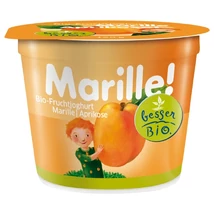 Joghurt (barackos) BIO 150g Salzburg Mil