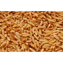 BIO Kamut (kg)