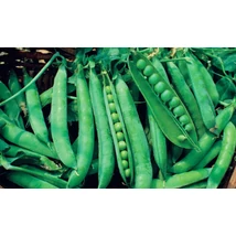 Zöldborsó BIO 500g