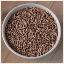 BIO Rozs (kg)