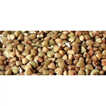 BIO Hajdina (kg)