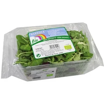 Salátamix BIO 100g 
