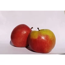 Alma piros BIO (kg)