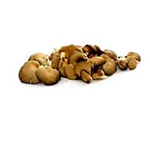 Bio Laskagomba 500g