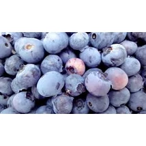 Áfonya BIO 125g