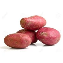 Piros burgonya BIO (kg)