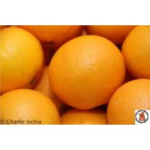 Narancs BIO (kg)