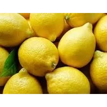 Citrom BIO (kg)