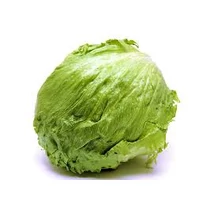 Jégsaláta BIO (db)
