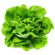 Tölgy levelű saláta BIO (db)