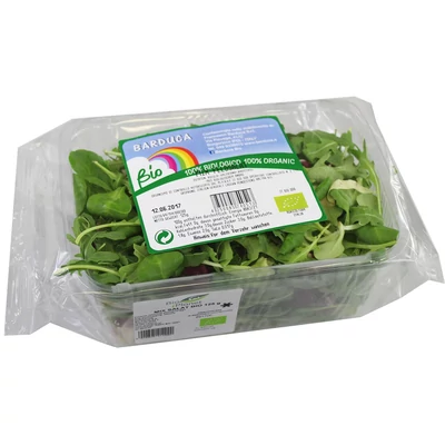 Salátamix BIO 100g 