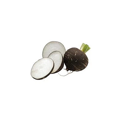 Fekete retek BIO 500g