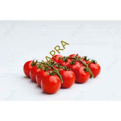 Koktélparadicsom BIO 500g