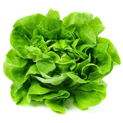 Tölgy levelű saláta BIO (db)