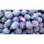 Áfonya BIO 125g