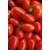 Datolyaparadicsom BIO 500g